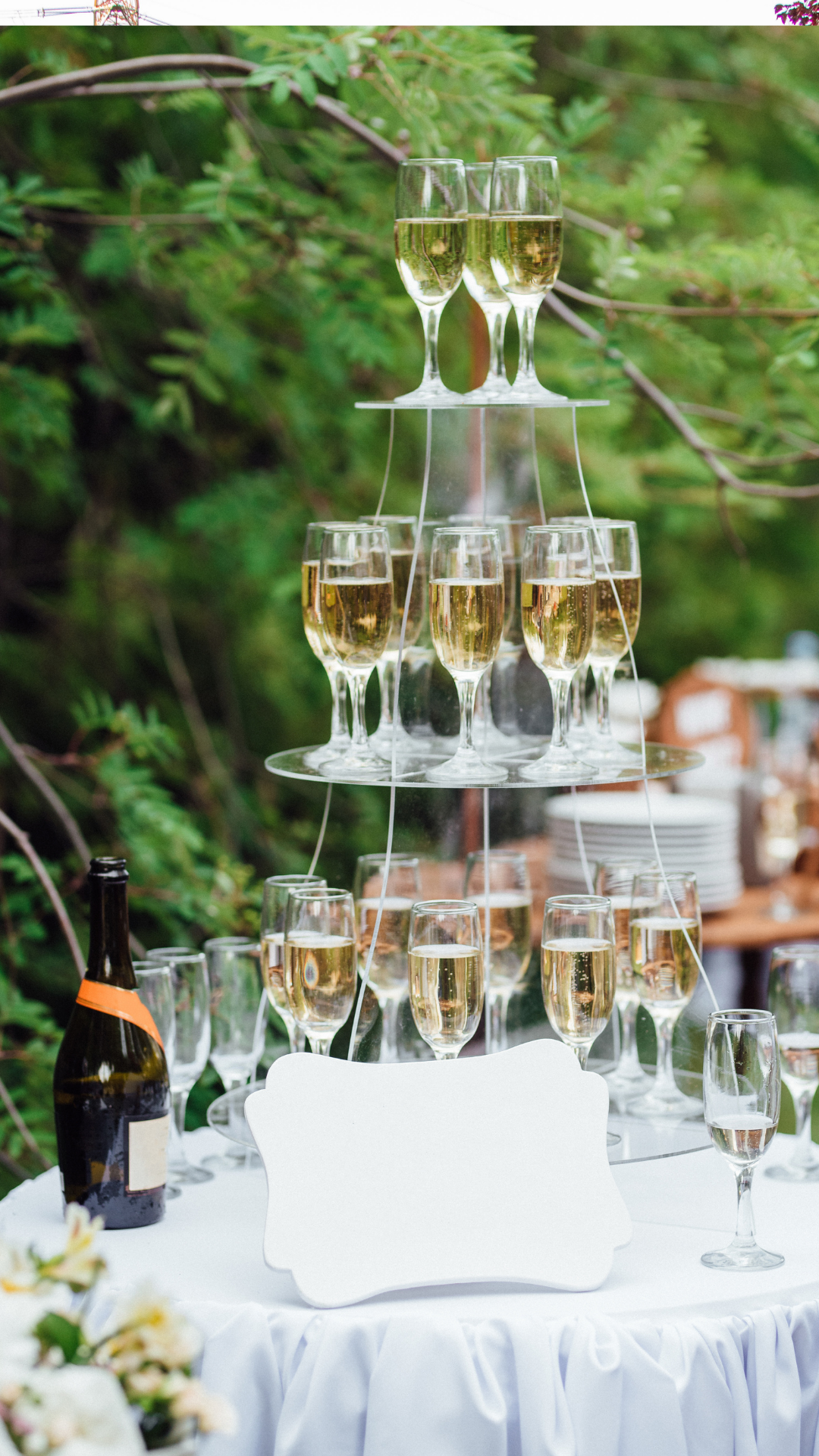 Mountain Wedding Celebrations 1